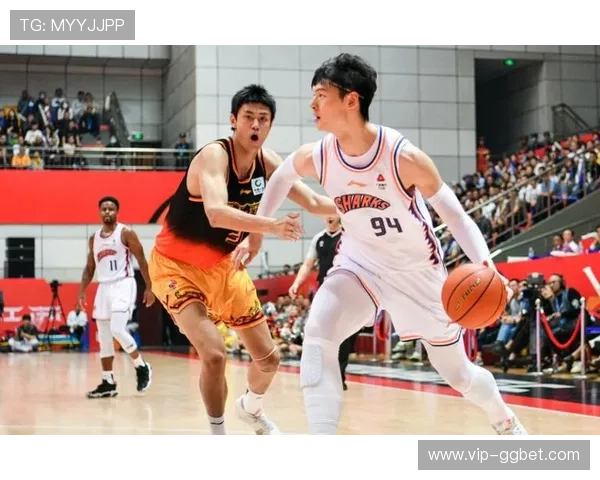 上海队主场12连胜保持不败 白边王哲林内线组合显统治力 上海队主场12连胜保持不败 白边王哲林内线组合显统治力